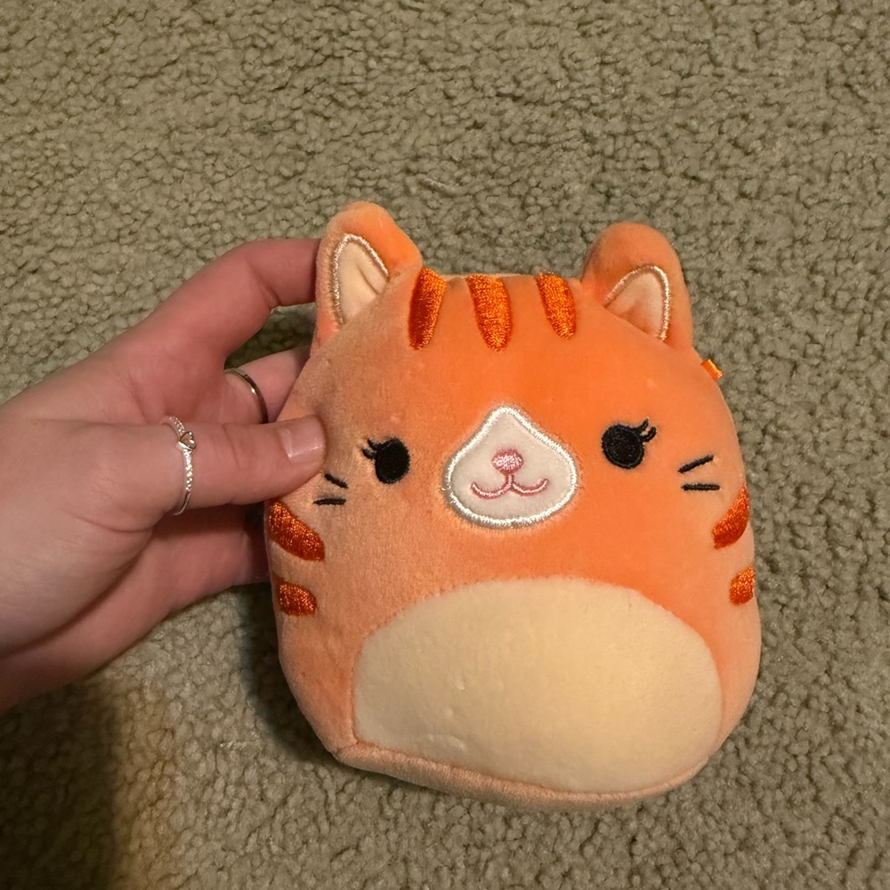 Orange Cat Squishmallow